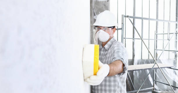 Professional Mold Removal in Maroa, IL